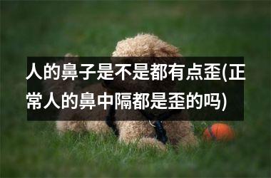 <h3>人的鼻子是不是都有点歪(正常人的鼻中隔都是歪的吗)