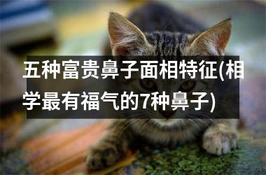 <h3>五种富贵鼻子面相特征(相学最有福气的7种鼻子)