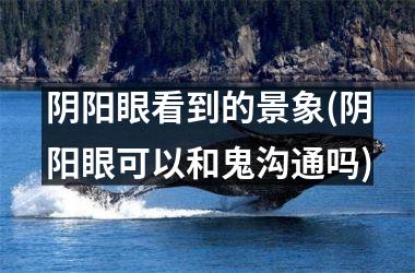 阴阳眼看到的景象(阴阳眼可以和鬼沟通吗)