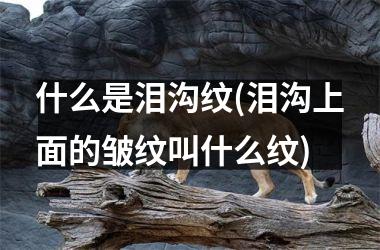 什么是泪沟纹(泪沟上面的皱纹叫什么纹)