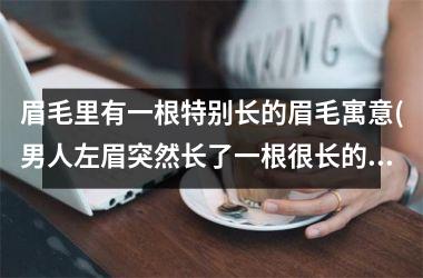 <h3>眉毛里有一根特别长的眉毛寓意(男人左眉突然长了一根很长的眉毛)