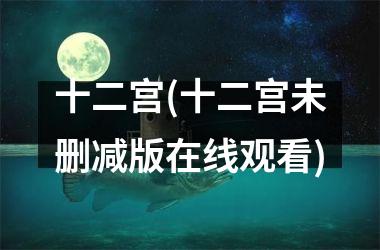 十二宫(十二宫未删减版在线观看)