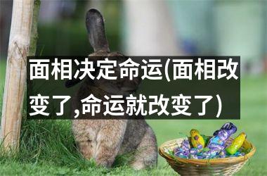 面相决定命运(面相改变了,命运就改变了)