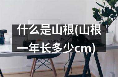 <h3>什么是山根(山根一年长多少cm)