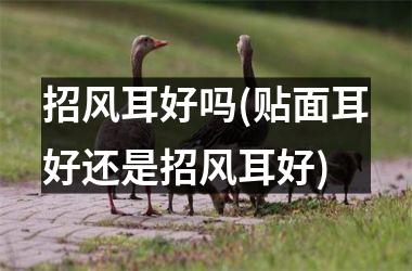 招风耳好吗(贴面耳好还是招风耳好)
