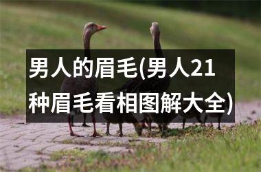 <h3>男人的眉毛(男人21种眉毛看相图解大全)
