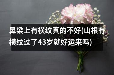 <h3>鼻梁上有横纹真的不好(山根有横纹过了43岁就好运来吗)