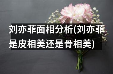 刘亦菲面相分析(刘亦菲是皮相美还是骨相美)