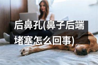 <h3>后鼻孔(鼻子后端堵塞怎么回事)