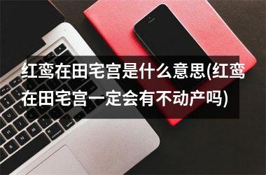 红鸾在田宅宫是什么意思(红鸾在田宅宫一定会有不动产吗)