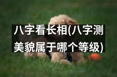 八字看长相(八字测美貌属于哪个等级)