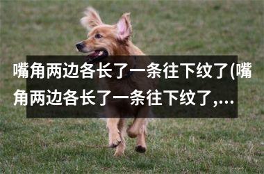 嘴角两边各长了一条往下纹了(嘴角两边各长了一条往下纹了,填充玻尿酸能维持多久)