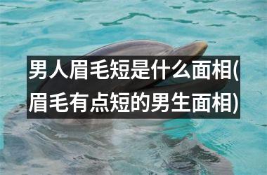 男人眉毛短是什么面相(眉毛有点短的男生面相)