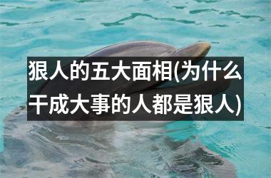 狠人的五大面相(为什么干成大事的人都是狠人)