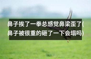 <h3>鼻子挨了一拳总感觉鼻梁歪了(鼻子被很重的砸了一下会塌吗)