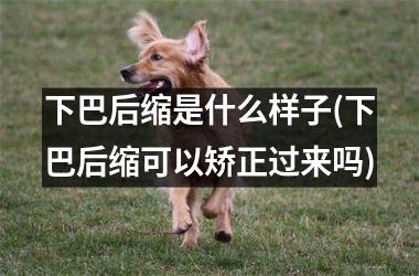 <h3>下巴后缩是什么样子(下巴后缩可以矫正过来吗)