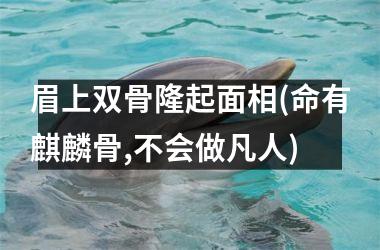 眉上双骨隆起面相(命有麒麟骨,不会做凡人)