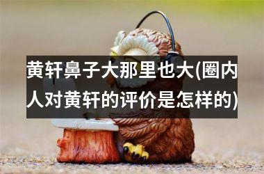 黄轩鼻子大那里也大(圈内人对黄轩的评价是怎样的)