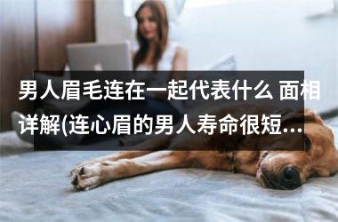 男人眉毛连在一起代表什么 面相详解(连心眉的男人寿命很短是真的吗)