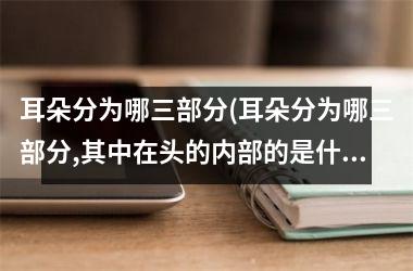 耳朵分为哪三部分(耳朵分为哪三部分,其中在头的内部的是什么)