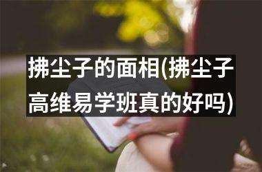 <h3>拂尘子的面相(拂尘子高维易学班真的好吗)