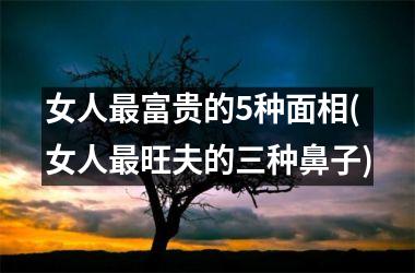 女人最富贵的5种面相(女人最旺夫的三种鼻子)