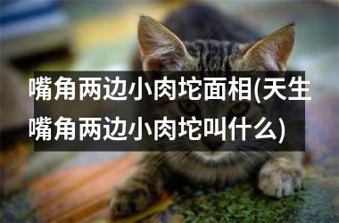 <h3>嘴角两边小肉坨面相(天生嘴角两边小肉坨叫什么)