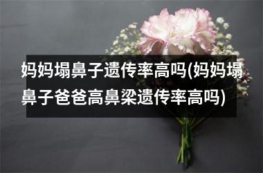妈妈塌鼻子遗传率高吗(妈妈塌鼻子爸爸高鼻梁遗传率高吗)