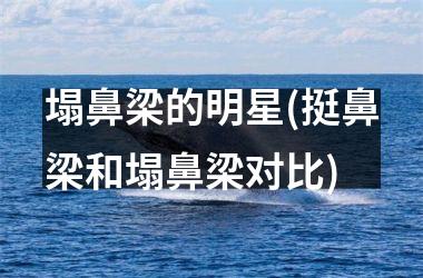 塌鼻梁的明星(挺鼻梁和塌鼻梁对比)