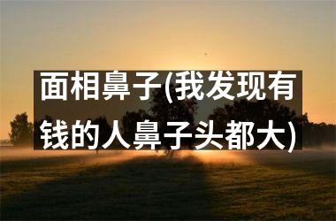 面相鼻子(我发现有钱的人鼻子头都大)