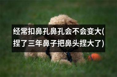 <h3>经常扣鼻孔鼻孔会不会变大(捏了三年鼻子把鼻头捏大了)