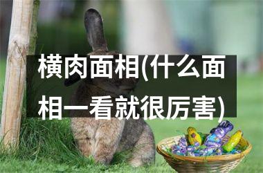 <h3>横肉面相(什么面相一看就很厉害)