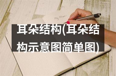<h3>耳朵结构(耳朵结构示意图简单图)