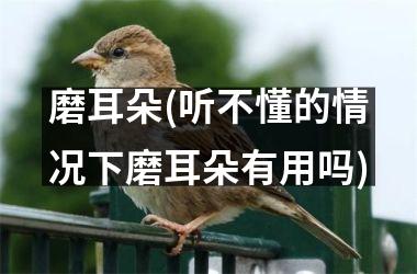 <h3>磨耳朵(听不懂的情况下磨耳朵有用吗)