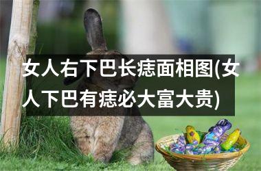 <h3>女人右下巴长痣面相图(女人下巴有痣必大富大贵)