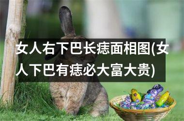 女人右下巴长痣面相图(女人下巴有痣必大富大贵)