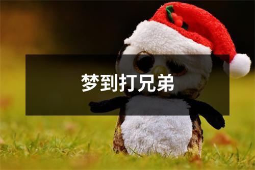 <h3>梦到打兄弟