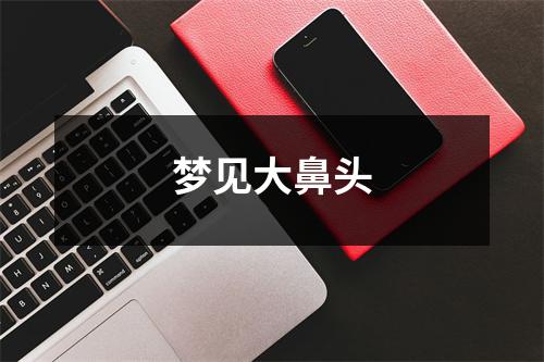 <h3>梦见大鼻头