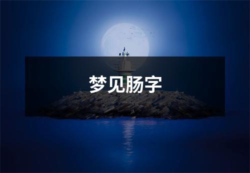 <h3>梦见肠字