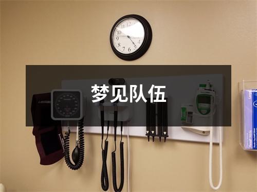 <h3>梦见队伍