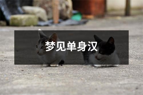 梦见单身汉