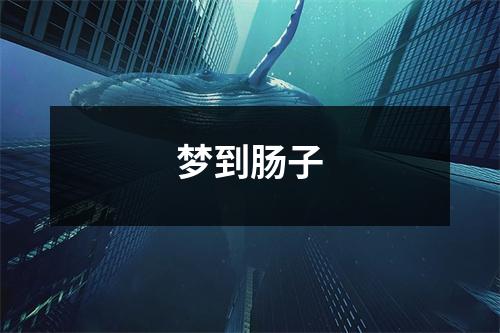 <h3>梦到肠子