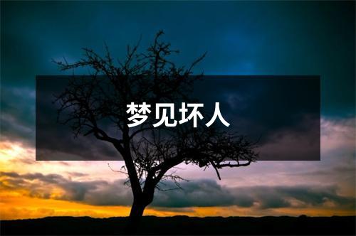 <h3>梦见坏人