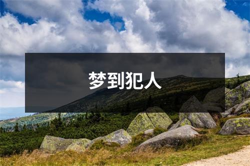 <h3>梦到犯人