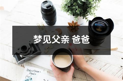 梦见父亲爸爸