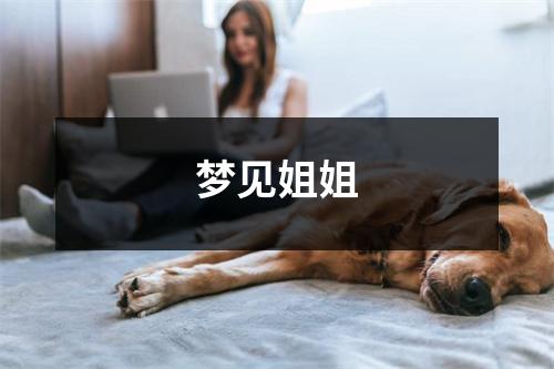 <h3>梦见姐姐