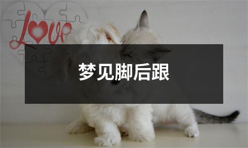 梦见脚后跟