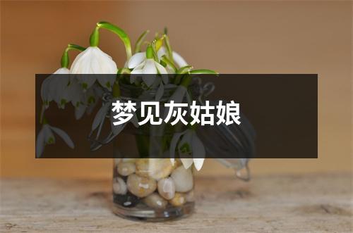 <h3>梦见灰姑娘