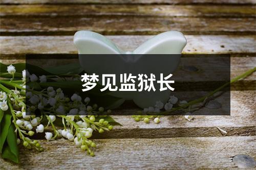<h3>梦见监狱长
