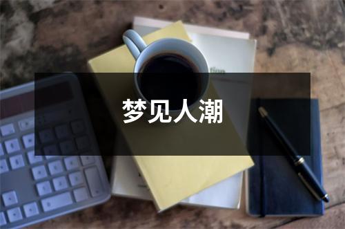 <h3>梦见人潮